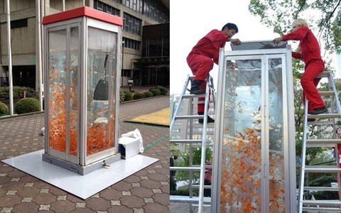 Telefon Kulübelerini Akvaryuma Çeviren Belediyeler de Var!