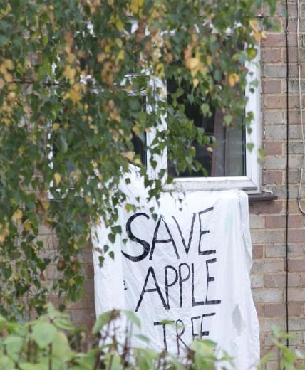 İngiltere'de "Elma Ağacı" Direnişi!