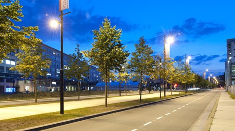 Auroralia Awards'un Galibi, Schréder'in Aydınlattığı Eindhoven