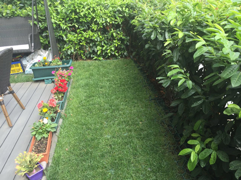 Geoflor ile Çamura Değil, Çime Basın!