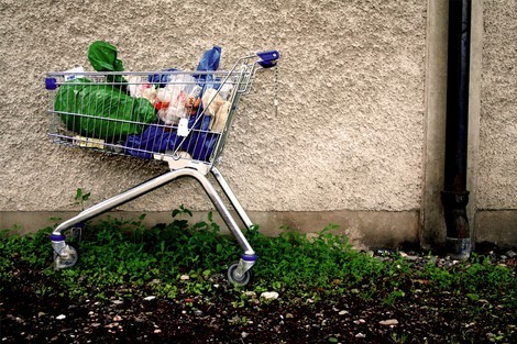 Seçkin Uysal Fotoğraf Sergisi "Uyuyan Güzel"