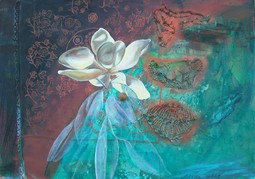 Ilgım Veryeri-Alaca'nın TEM Sanat Galerisi'nde