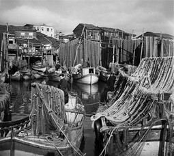 Ara Güler'den "İstanbullu"