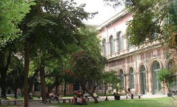 Geleneksel Taşkışla Günü