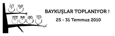 Baykuşlar Toplanıyor