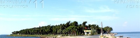 Baykuşlar Toplanıyor’11