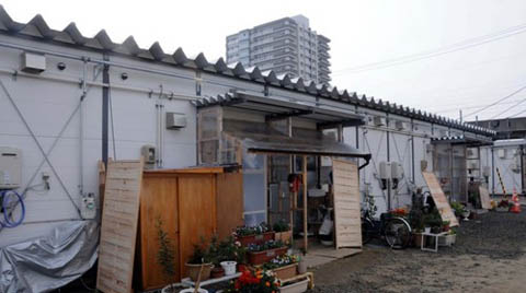 Japonya'da Depremin Ardından Barınma Sorunu