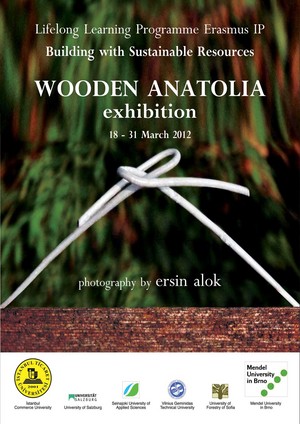 "Ahşap Anadolu" Sergisi