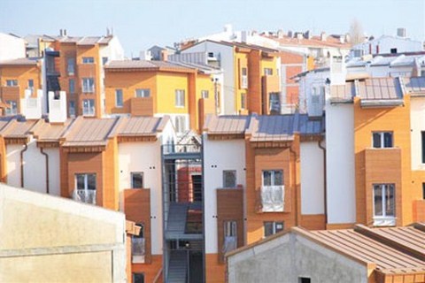 Sulukulelilerin Evleri Kuraya Kaldı