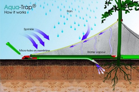 Designnobis’ten İki İnovatif Çözüm: Naturwall ve Aquatrap